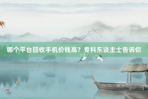 哪个平台回收手机价钱高？专科东谈主士告诉你