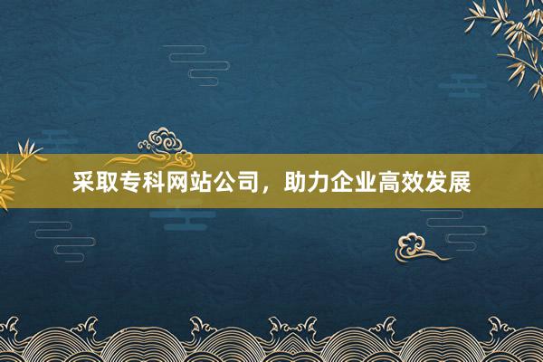采取专科网站公司，助力企业高效发展